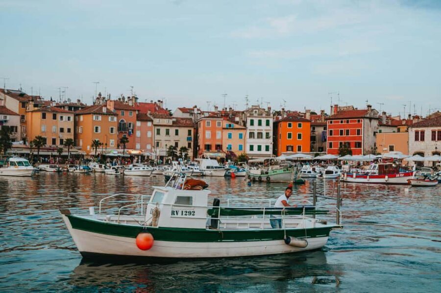 VRSAR: Night Boat Tour to Rovinj with Dolphin Watching - Analyzing the Value