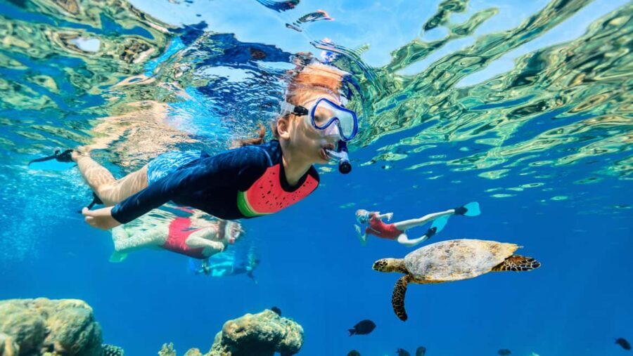 Waikiki: Snorkeling & Ocean Playground Experience - The Journey: What to Expect
