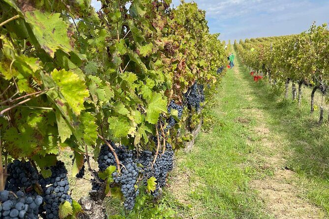 Walk through Spoletos historic center & lunch with Chef Stefano - FAQ