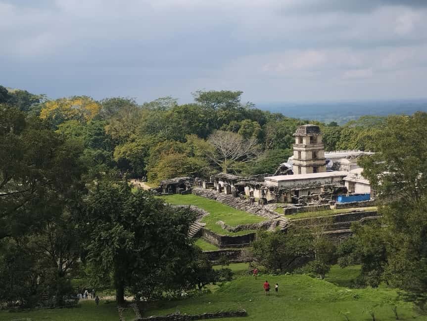 Walking tour in the archaeological site and jungle of Palenque - Why This Tour Is a Great Choice
