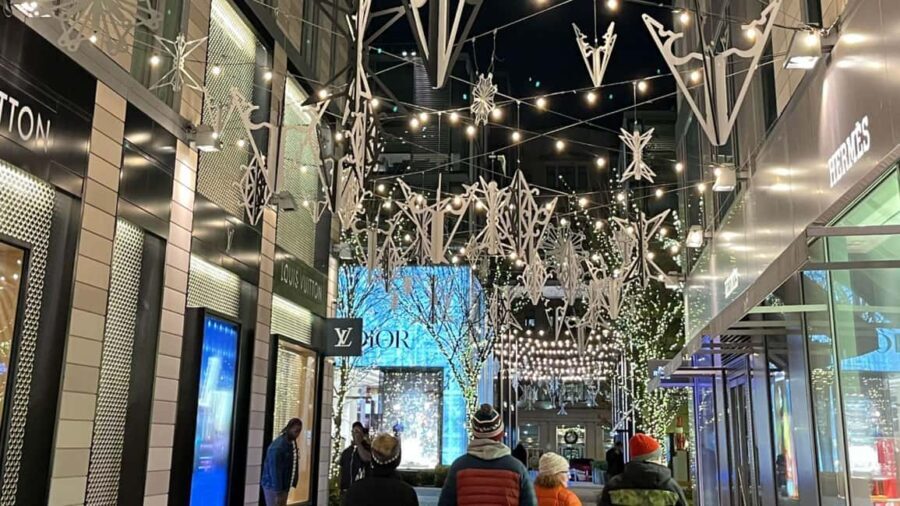 Washington, DC: Christmas Tree & Holiday Lights Bus Tour - Who Should Consider This Tour?