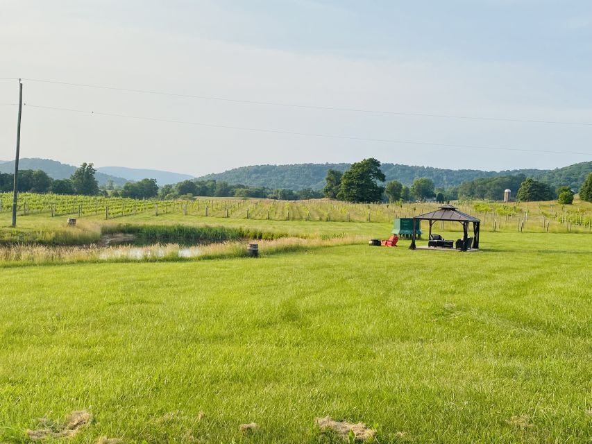 Washington, DC: Virginia Wine Region Experience Tour - The Sum Up: Who Is This Tour Best For?