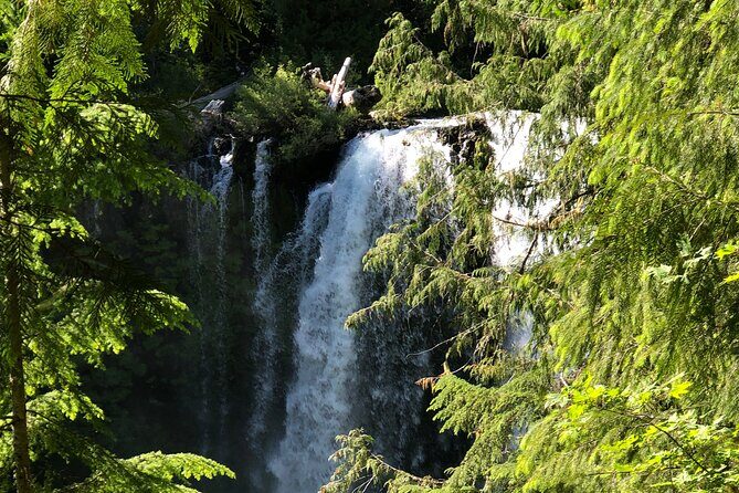Waterfalls & the McKenzie River in a Tesla - Why Choose This Tour?