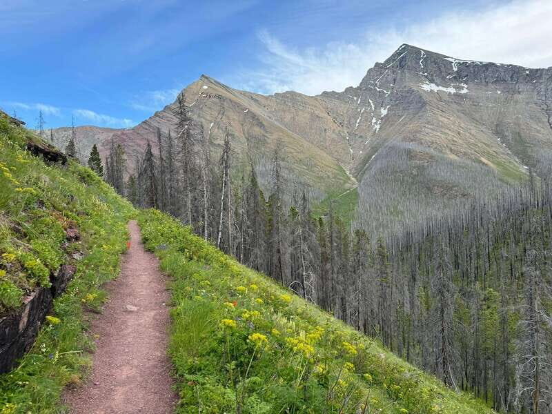 Waterton Lakes National Park: Upper Rowe Lakes Hike - The Value of the Guided Experience