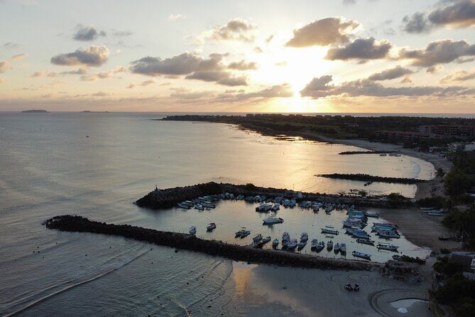 Whale watching - The Itinerary: Breaking Down the Experience