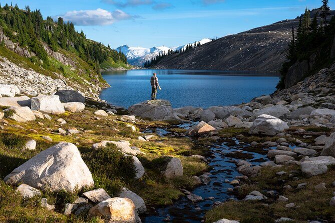 Whistler Guided Day Hiking - Who Should Book This Tour?