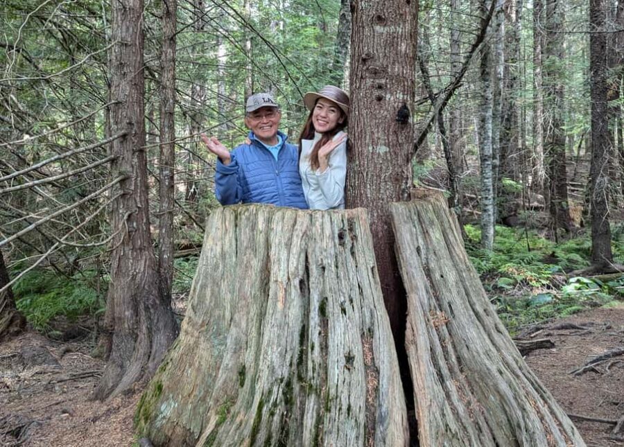 Whistler: Tour, Immersive Nature Experience - What Makes This Tour Special?