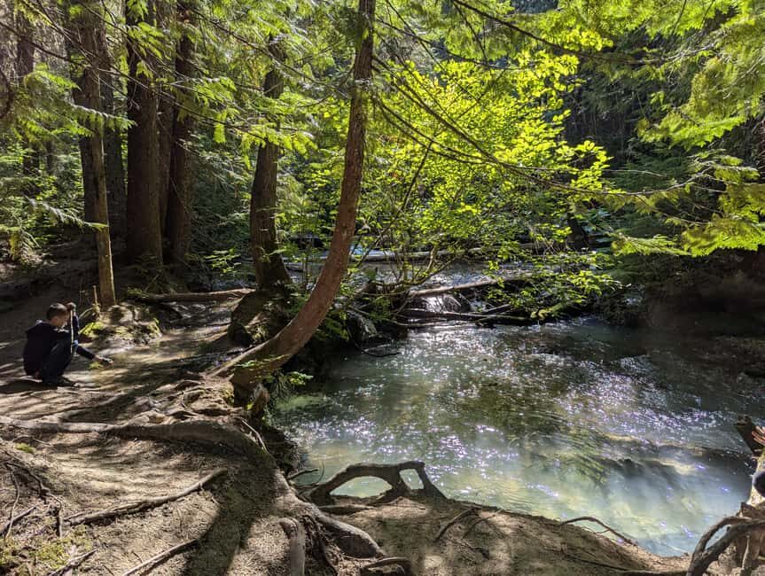 Whistler: Tour, Sensory Nature Experience for Families - What’s Included and What’s Not
