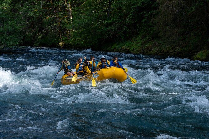 Whitewater Rafting on The McKenzie River - The Itinerary: What You Can Expect