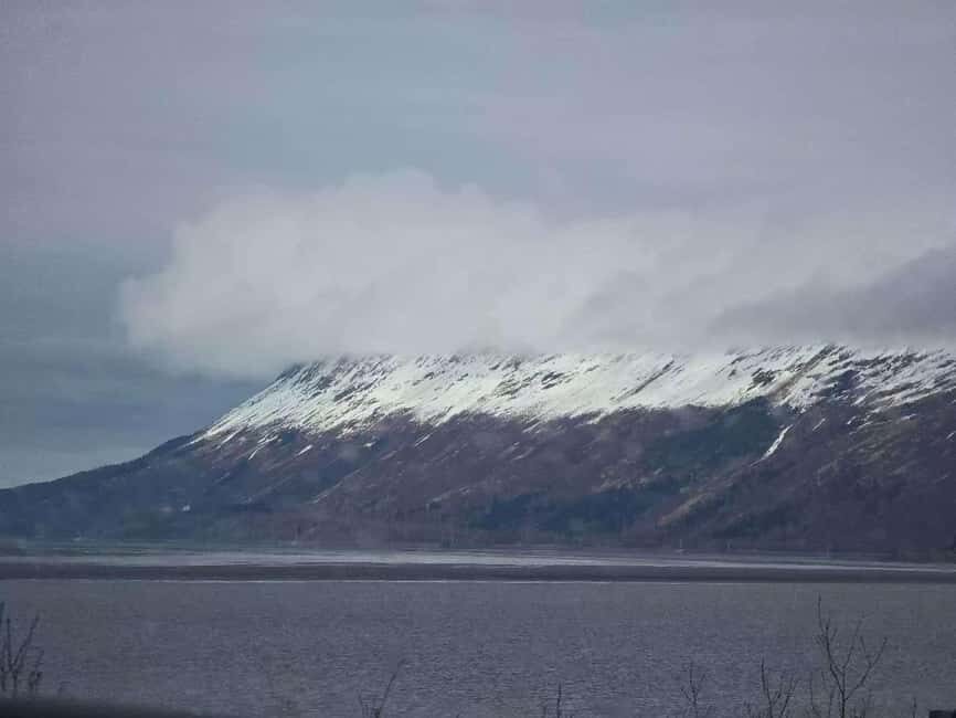 Whittier Cruise Shuttle Tour with Multiple Stops - The Value of Professional Photography