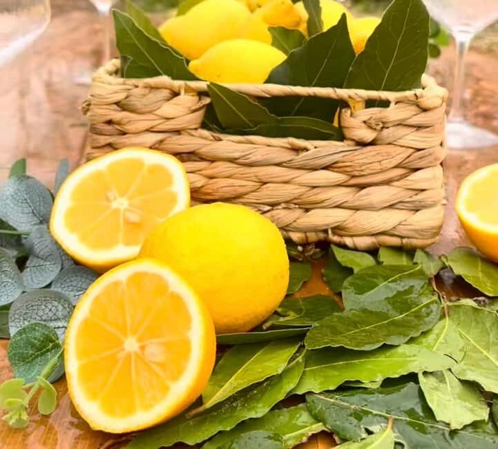 Wild Fruit Picking Experience at Hani i Qerosit - Who Will Love This Experience?