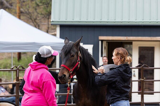 Wild Mustang Experience Near Colorado Springs - Why This Tour Is Worth Considering