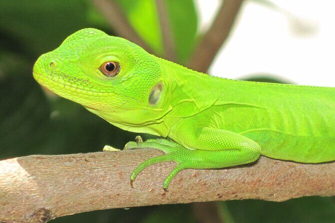 Wildlife Eco Tour on the coast of Oaxaca. - Zipolite: The Iconic Beach