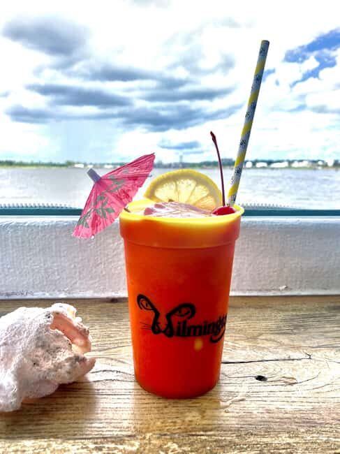 Wilmington: Eagles Island Cruise--Eco-History Cruise - Final Thoughts — Is This Cruise for You?