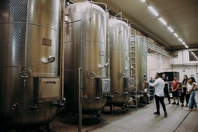 Wine and Balsamic Vinegar Tour with Tasting - What Sets This Tour Apart