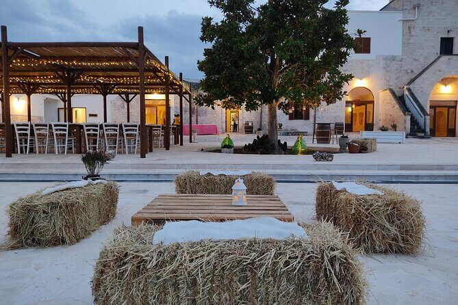 Wine and Food Pairing Experience at Alberobello Winery - The Value of the Experience