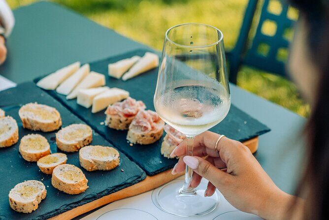 Wine and Food Tasting in the Vineyards in Lazise - Tasting and Snacks