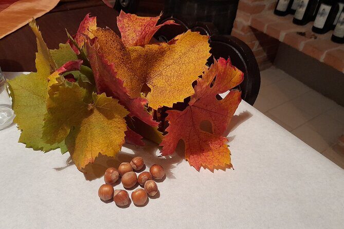 Wine and Typical Product Tasting Tour - The Experience in Detail: What You Can Expect