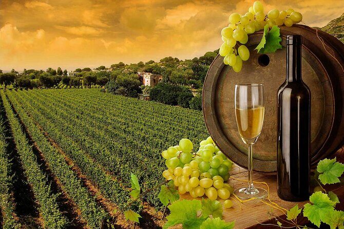 Wine Cheese and EVO Oil Tastings in Tuscany Full-Day from Rome - Travel and Comfort