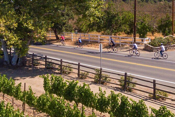Wine Country Farm to Table Bike Tour w/Lunch - Practical Details and Value