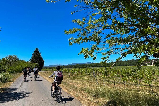 Wine excursion by electric bike guided by GPS Vallon Pont d'Arc - Who This Tour Is Best For  