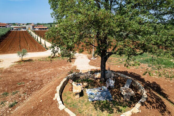 Wine picnic - The Details: What’s Included and How It Works