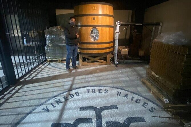 Wine Route !, Vineyards, wine tasting and pairing - Transportation & Practicalities