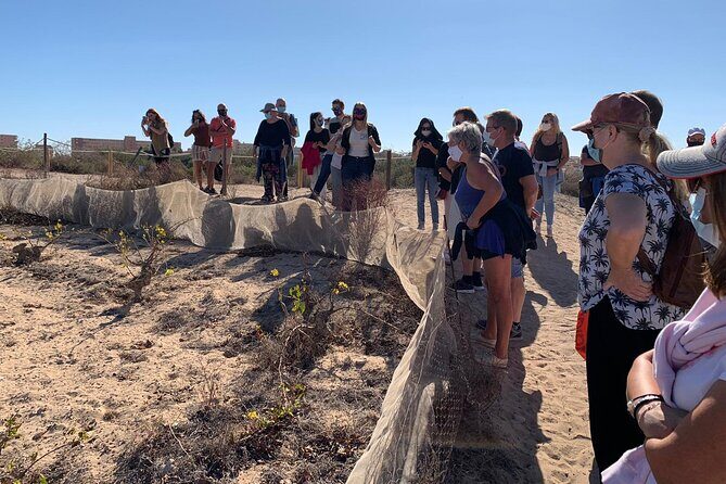 Wine route with tasting and pairing in the La Mata Natural Park - Tasting and Pairing Experience