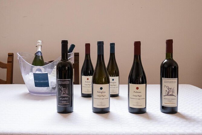 Wine Tasting in Campi Flegrei from Naples - Why Choose This Tour?