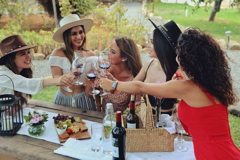 Wine Tasting in the Gardens at Rondo del Valle with vineyard - The Guided Tour of the Facilities