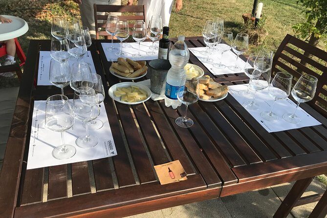 Wine tasting in Versilia with sommelier - 5 wines and local products - Final Thoughts