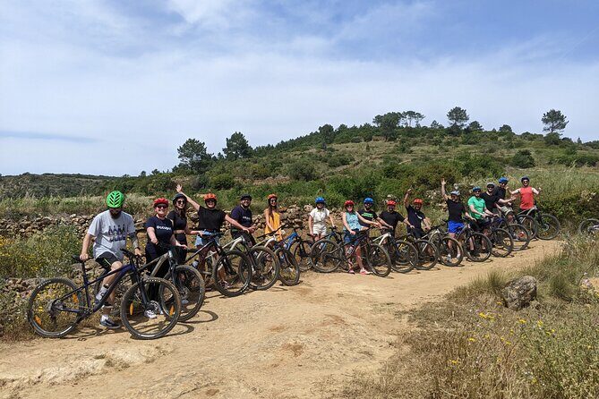 Wine Tasting Tour - Authentic Reviews and Real Experiences