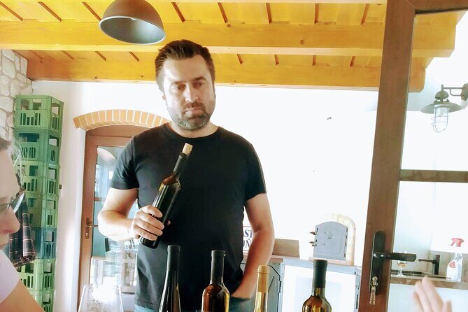 Wine Tasting Tour in Tokaj Wine Region Slovakia. With transport - Deep Dive into the Itinerary