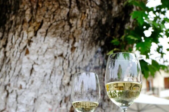 Wine Tasting Walking Tour in Old Town Chania - What You Can Expect from the Experience