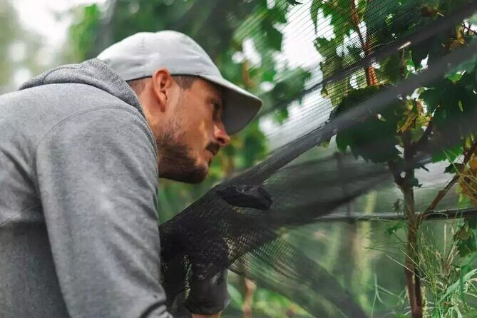 Wine Tasting with the winemaker in Villa Santa Eurosia - Who Will Enjoy This Tour?