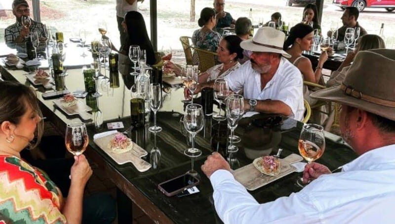 Wine tour and tasting at Vinícola Tierra de Luz - The Practicalities: What to Know Before You Go