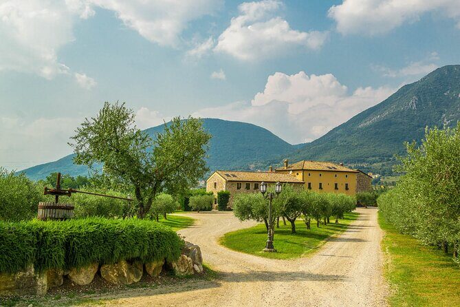 Wine Tour and Tasting on Garda Hills - What to Expect During the Tour