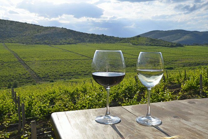 Wine tour Macedonia - Why This Tour Offers Good Value