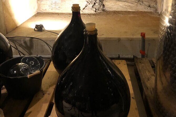 Wine Tours and Tastings from Béziers - Practical Details and What You Can Expect