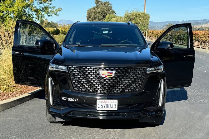 Wine Tours for 6 Hours and Private Transportation Services - The Itinerary in Detail