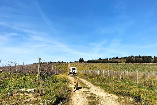 Winery, Tastings & 4WD Vineyards Ride, Half Day Trip from Lisbon - The Journey Begins: Comfort and Convenience