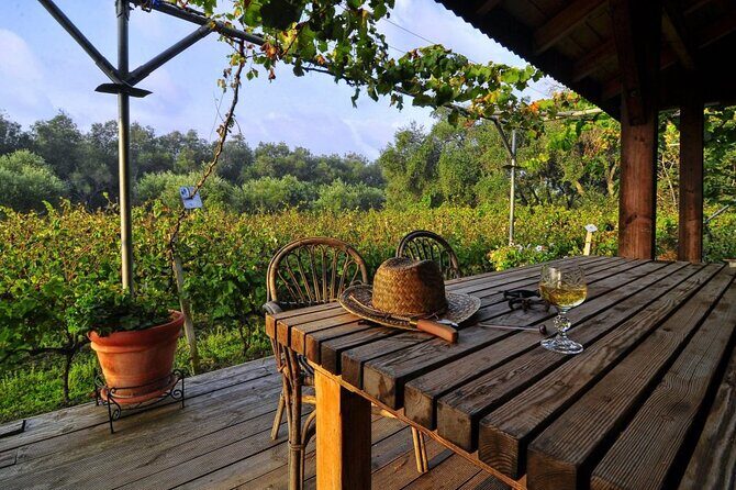 Winery Tour and Tasting in Corfu` with the Sommelier - Final Thoughts: Is This Tour Right for You?