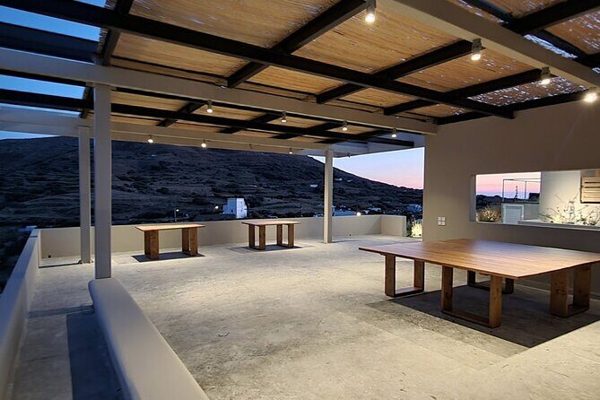 Winery Tour and Tasting in Tinos with the Winemaker - Who Will Enjoy This Tour?