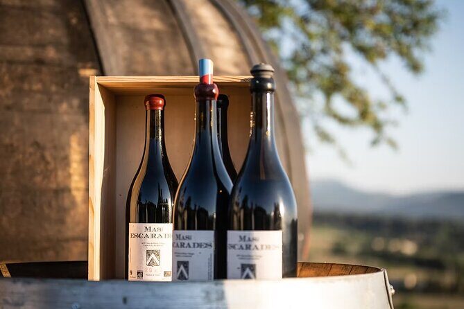 Winery visit / tasting in the vineyards, Mas des Escarades - Authentic Insights from Visitors  