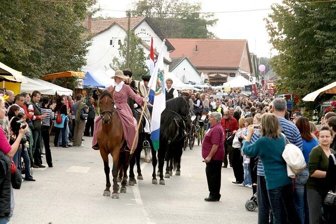 Winetaste in Villany, and visiting Pécs, on a private tour - Who Should Consider This Tour?