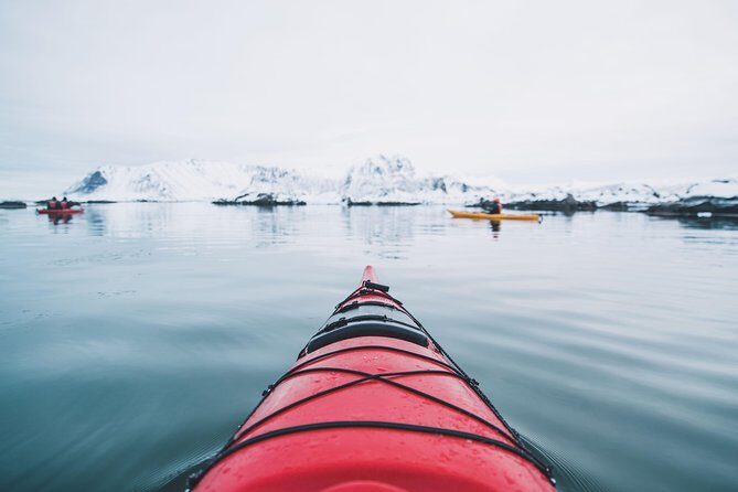 Winter Half Day Kayak Tour - What the Tour Offers and Why It Matters