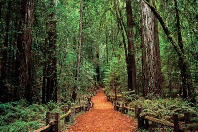 Women Only 5 day California Vineyards, Waves and Wine Tour - What the Price Really Gets You