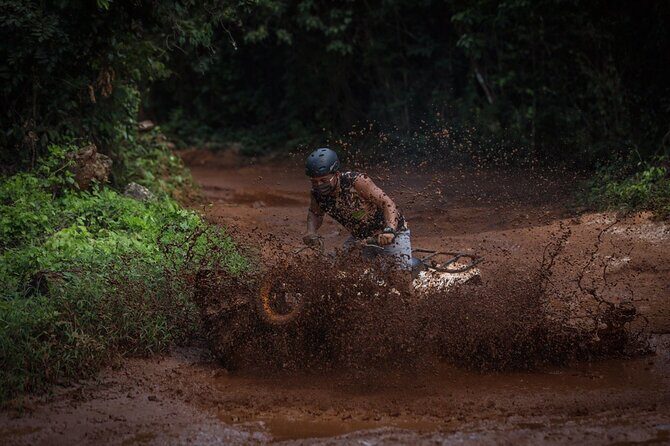 Wonderful Jungle Experience with Horse Riding, ATV, Ziplines and Cenote - Authentic Experiences and Real Traveler Feedback