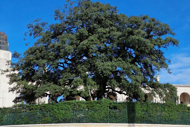 Wonderful Private Half-day tour in Fátima - Who Should Consider This Tour
