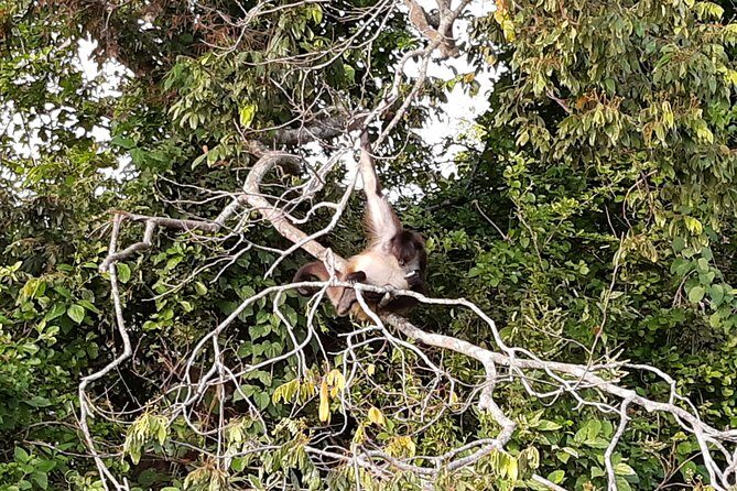 Wonders in the jungle of our mother culture Catemaco & Los Tuxtlas - Understanding the Logistics and Practicalities